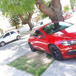 Car on tree trunk