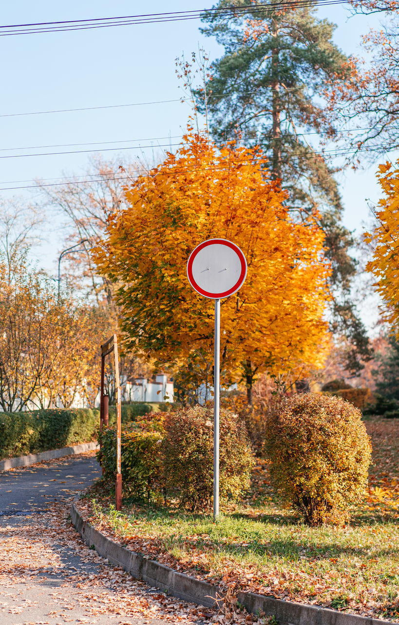 ROAD SIGN AGAINST TREES