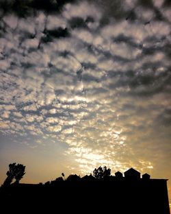 Low angle view of silhouette trees against sky