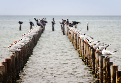 People walking on pier over sea against sky