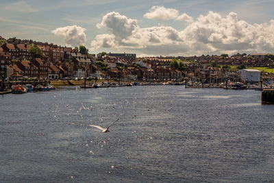 Scenic view of sea by city against sky