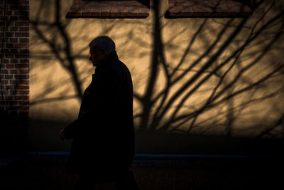 Rear view of silhouette woman standing against blurred background