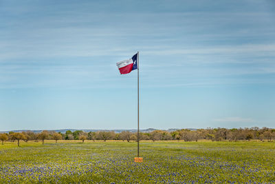 Flag on pole by flowering plants against sky