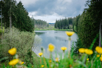 Scenic view of lake against cloudy sky