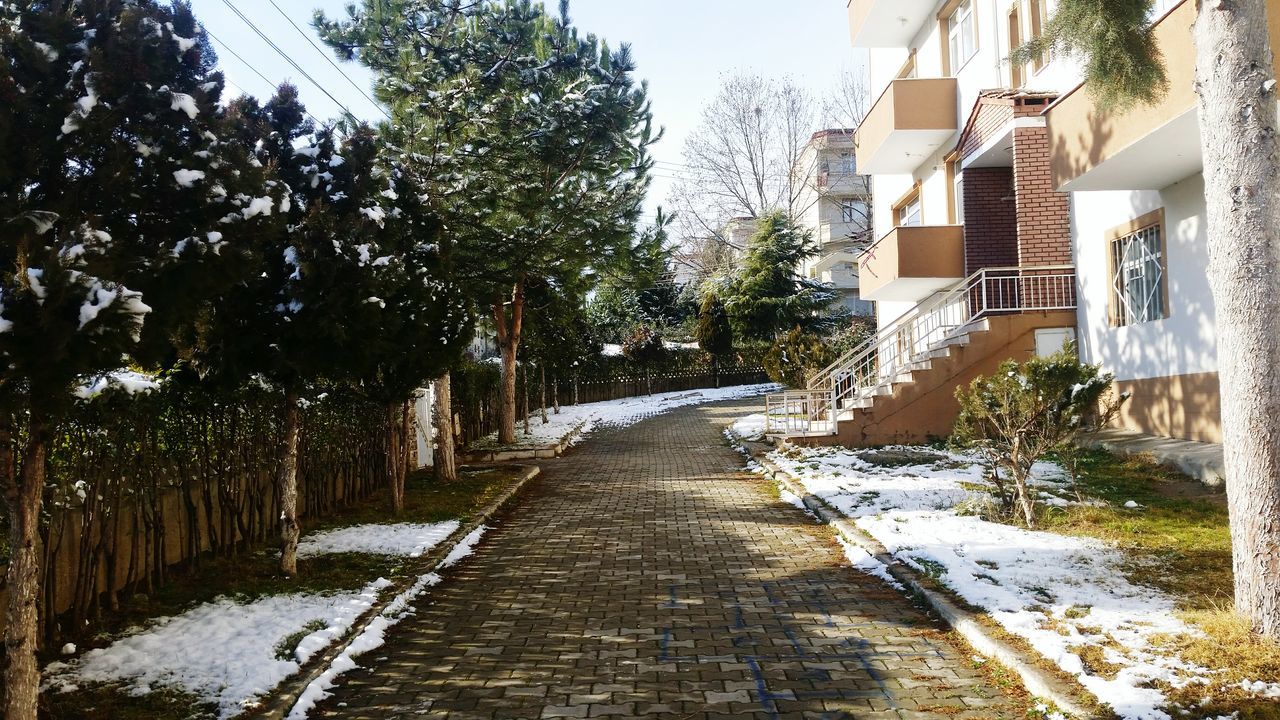 the way forward, building exterior, snow, diminishing perspective, built structure, architecture, tree, vanishing point, winter, cold temperature, narrow, house, street, long, season, road, covering, residential structure, footpath, white color