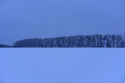Trees on field against clear blue sky during winter