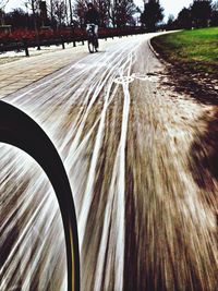 Road passing through forest