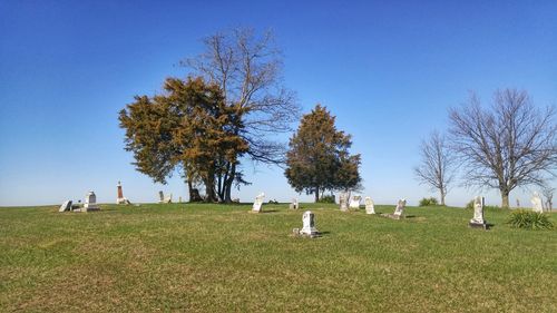 Trees in graveyard against blue sky