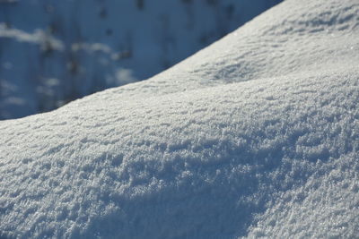 Close-up of snow covered land