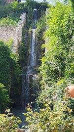 View of waterfall in forest