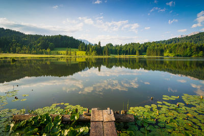 Scenic view of lake by trees against sky