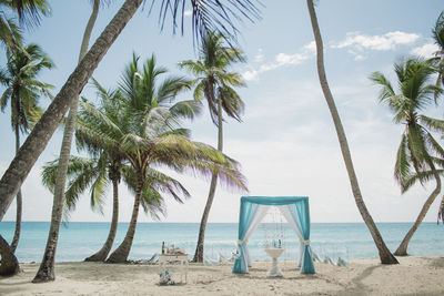 Palm trees on beach against sky