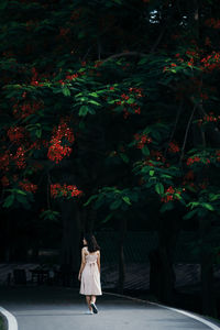 Rear view of woman waking on road