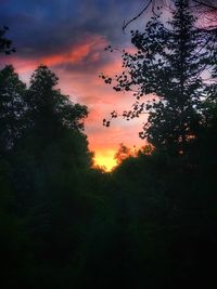 Silhouette trees against sky at sunset
