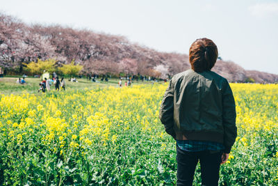 Rear view of woman standing on flowering field