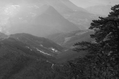 High angle view of trees on landscape