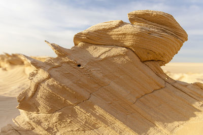 Sand stone in the desert with shallow depth of field