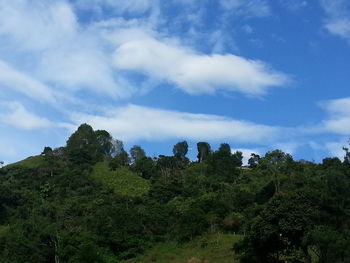 Low angle view of trees against cloudy sky