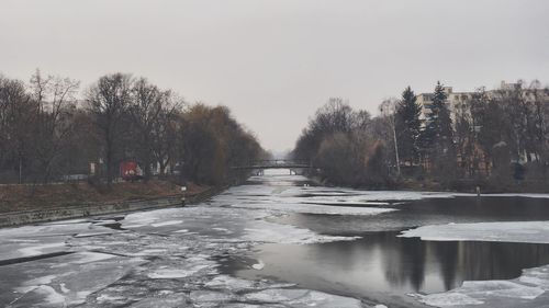 View of trees in water