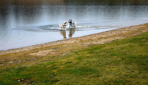 Man standing in lake against sky