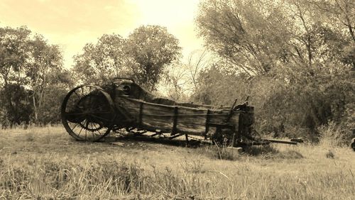 Tractor on grassy field