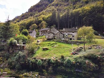 Scenic view of trees and buildings against sky