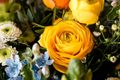 Close-up of yellow rose bouquet