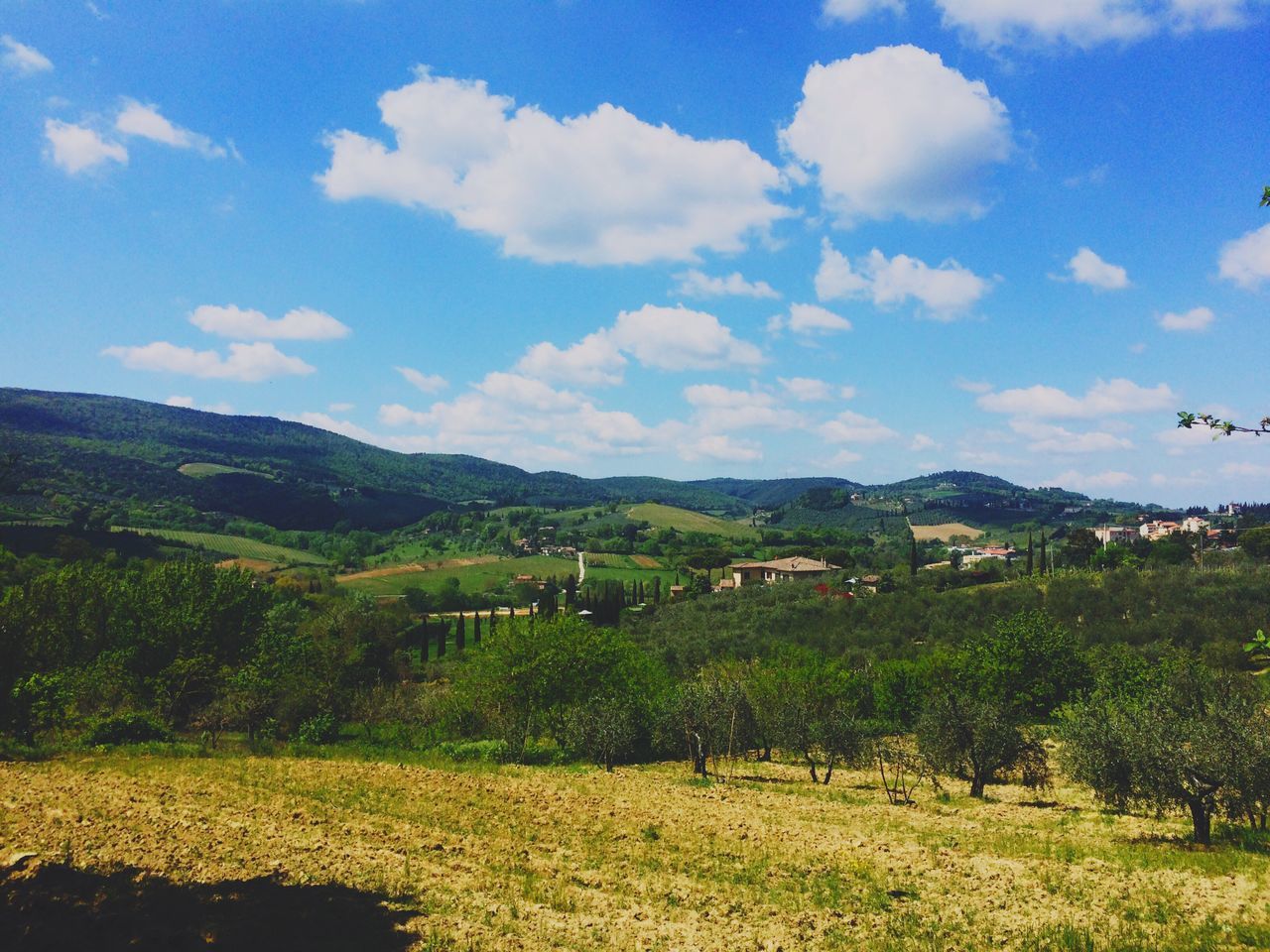 nature, landscape, sky, field, agriculture, scenics, mountain, tranquil scene, tranquility, rural scene, blue, green color, beauty in nature, growth, cloud - sky, no people, outdoors, tree, mountain range, day, vineyard, grass