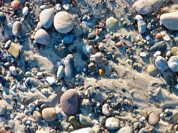 High angle view of stones on beach