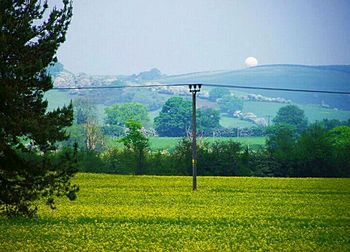 Scenic view of grassy field against sky