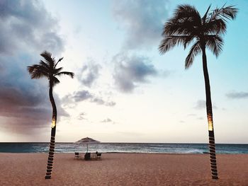 Palm tree on beach against sky