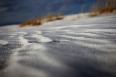 Surface level of frozen water on land