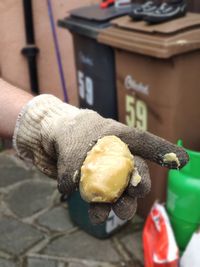 Close-up of hand holding ice cream