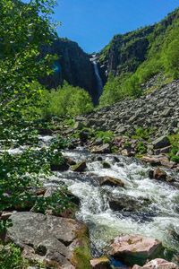 Stream flowing through rocks in forest