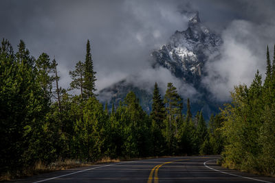 Road amidst trees in forest against sky