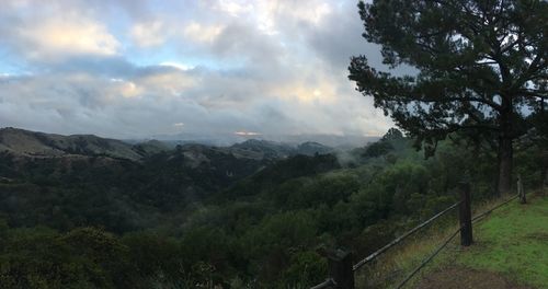 Scenic view of tree mountains against sky