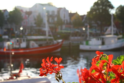 Close-up of red boat in river