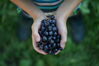 Close-up of woman holding fruits