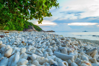 Peaceful and tropical coral turtle beach at perhentian islands, malaysia, long exposure