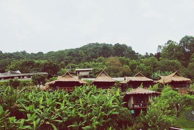 Houses by trees and plants against sky