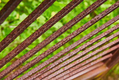 Full frame shot of bamboos