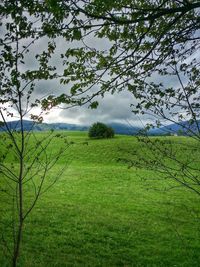Scenic view of grassy field against cloudy sky