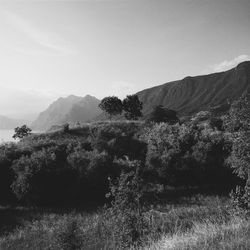 Scenic view of landscape against clear sky