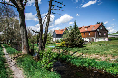 Trees and houses on field against sky