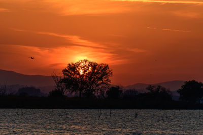 Silhouette trees by lake against romantic sky at sunset