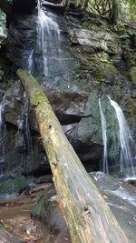 View of waterfall in forest