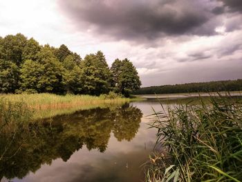 Reflection of trees in lake against sky