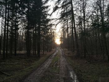 Road amidst trees in forest against sky