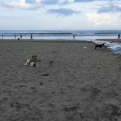 Man standing on beach against sky