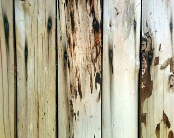 Full frame shot of wooden plank